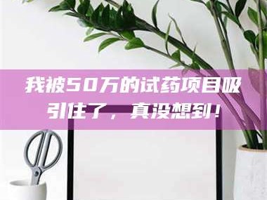 文山我被50万的试药项目吸引住了，真没想到！