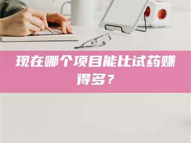 文山现在哪个项目能比试药赚得多？