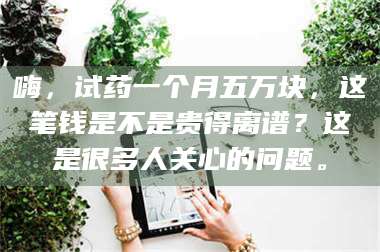 文山嗨，试药一个月五万块，这笔钱是不是贵得离谱？这是很多人关心的问题。 第1张