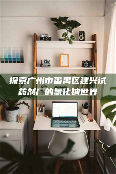 文山探索广州市番禺区建兴试药剂厂的氯化钠世界 第1张