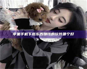 文山苹果手机下载东西赚钱的软件哪个好 第1张